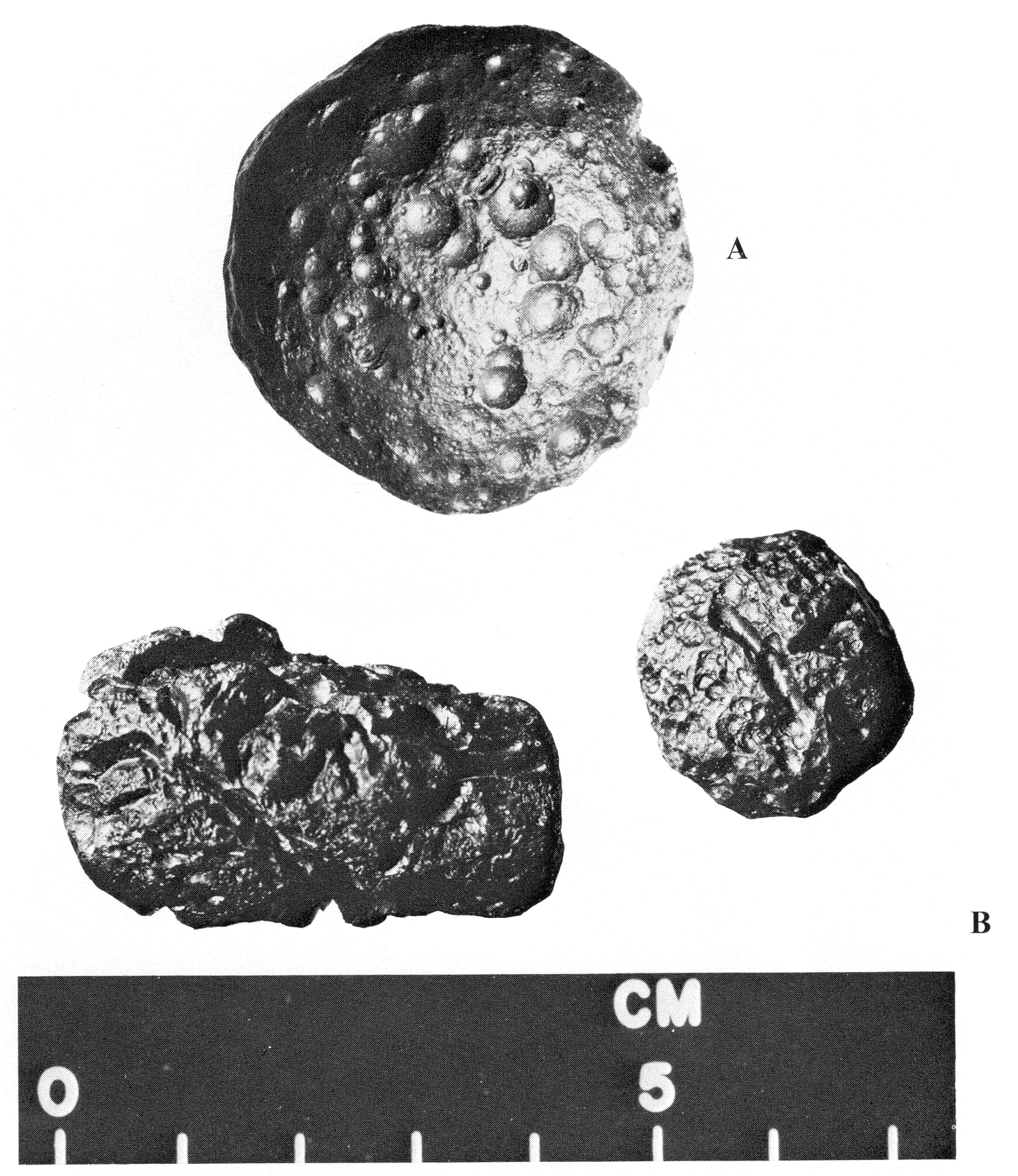 Tektites And Their Origin - O'Keefe 1976 - Chapter 3